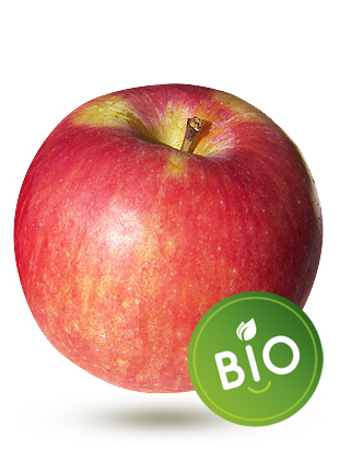 Spartan bio Spartan bio