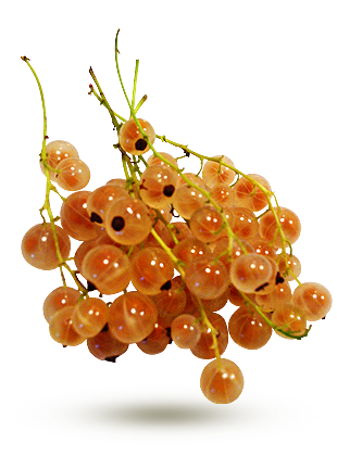 à grappes jaunes à grappes jaunes