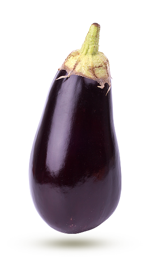 pourpre pourpre