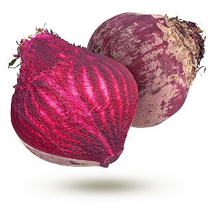 chioggia chioggia