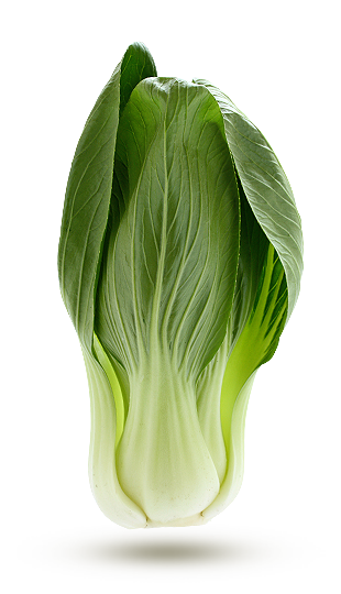 Bok Choy