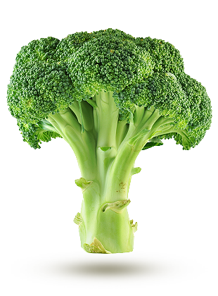 Brocoli Brocoli