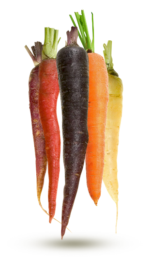 couleurs variées couleurs variées