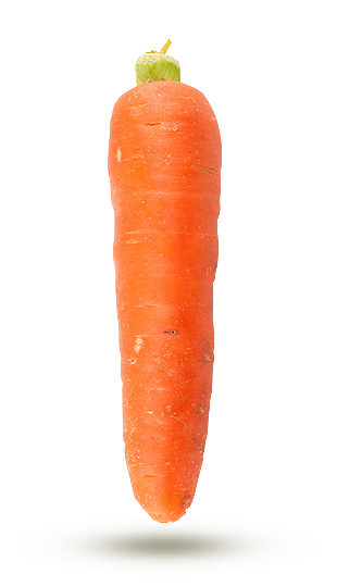 nantaise nantaise