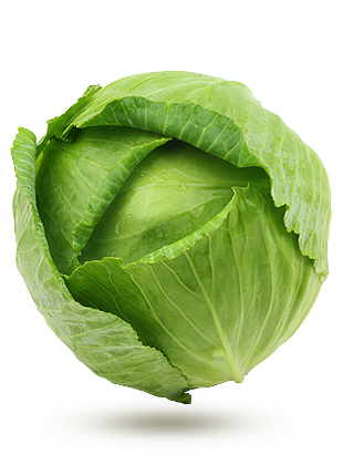 vert vert
