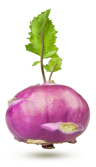 pourpre pourpre