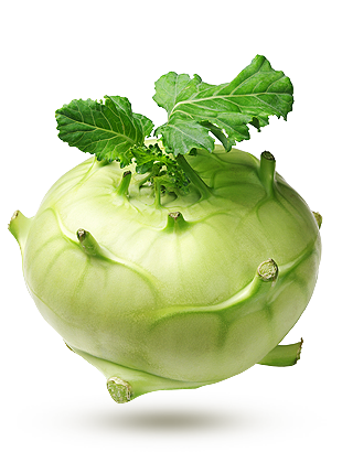 vert vert