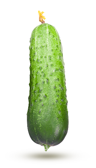 Cornichon