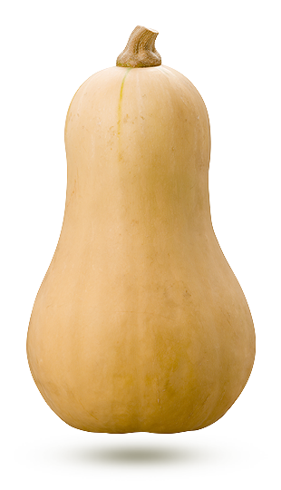 butternut