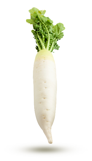 Daïkon Daïkon