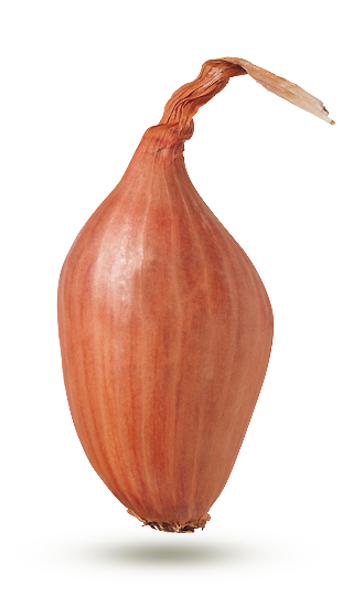 française française