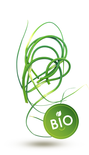 Fleur d'ail Bio Fleur d'ail Bio