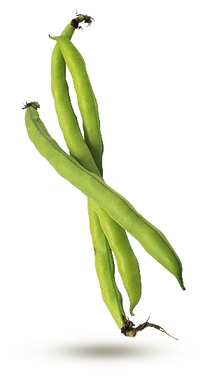 Gourgane Gourgane