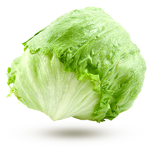 iceberg iceberg