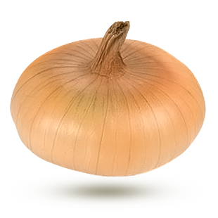 cipollini cipollini