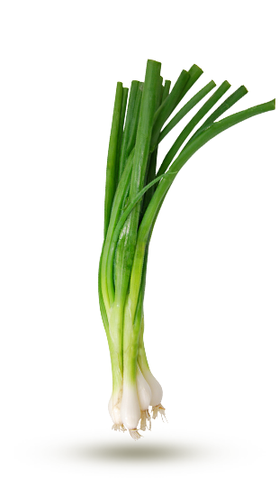 vert vert