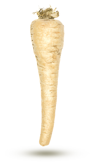 Panais Panais