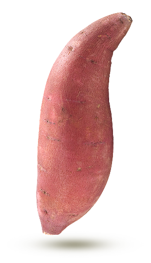 La patate douce 