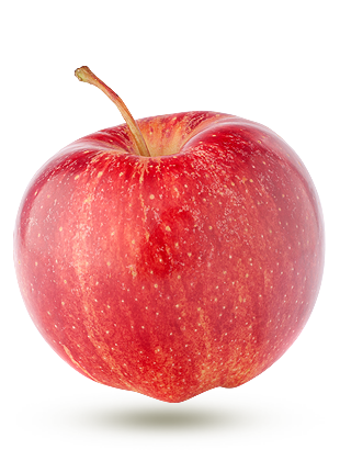 La pomme Honeycrisp 