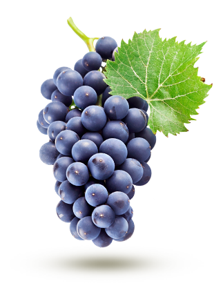 bleu bleu