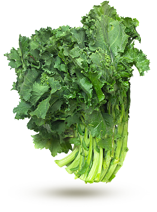 Rapini Rapini