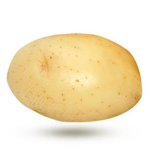Lanorma Lanorma