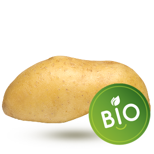 Ratte bio Ratte bio