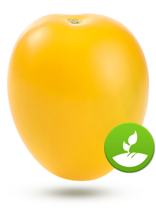 raisin jaune de champs raisin jaune de champs