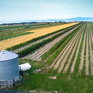 Ferme Cybèle La Pocatière