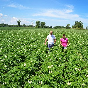 Fermes A. Monchamp et fils