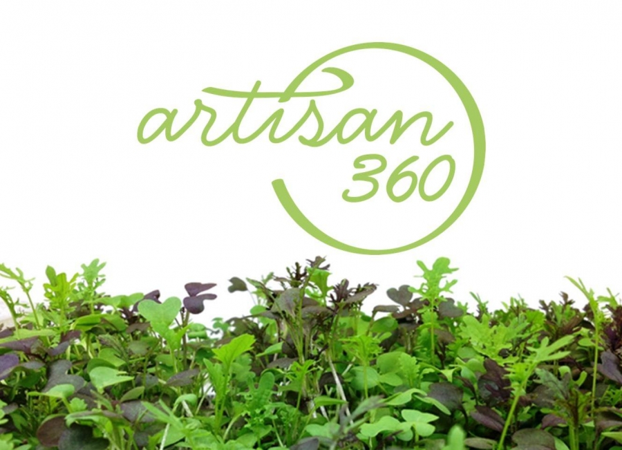 Artisan 360